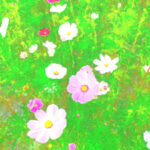Thumbnail of post image 065